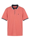 Polo Salmón Forestal