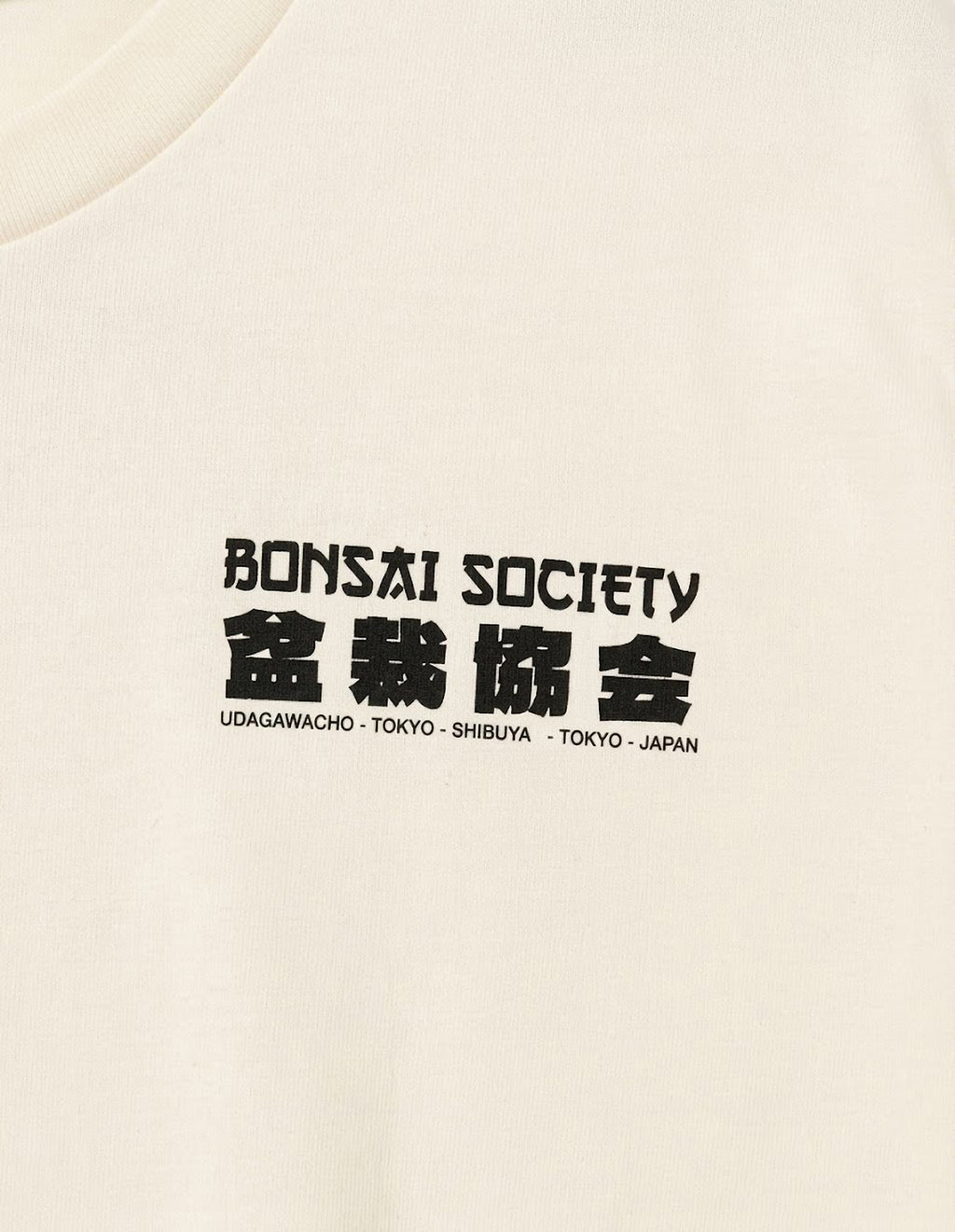 Camiseta Jack & Jones Bonsai Society